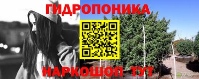 дмт Ликино-Дулёво