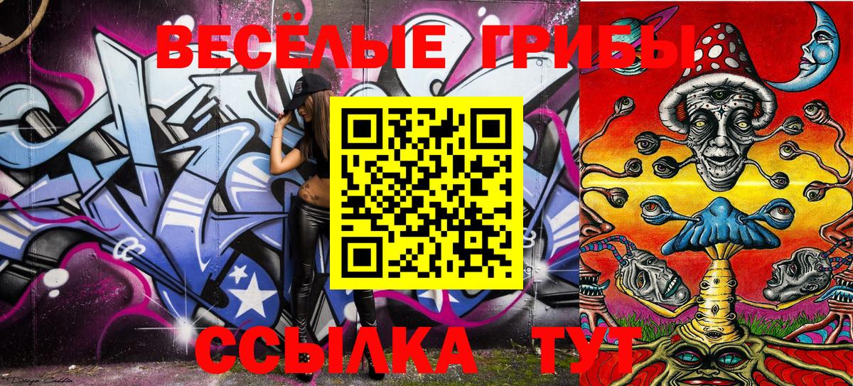 закладка  Вход с VPN  Славянск-на-Кубани  Псилоцибиновые грибы Cubensis 